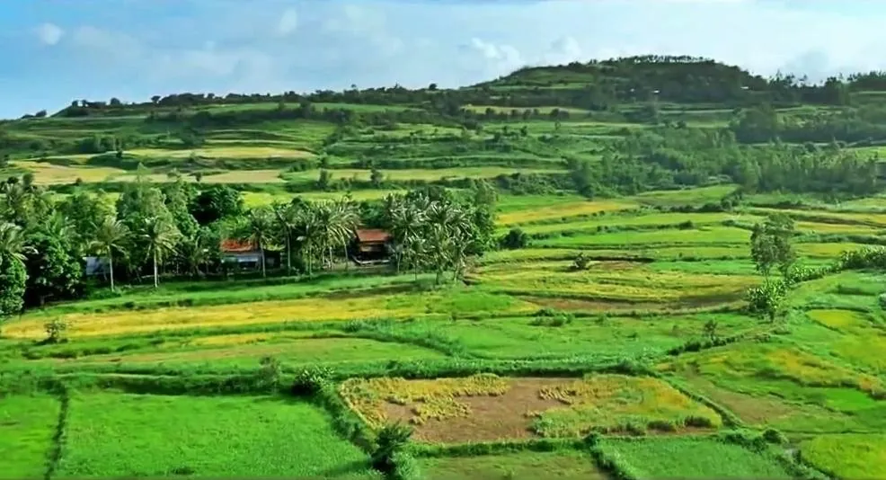 Thả hồn giữa vùng đất hoa vàng cỏ xanh đẹp mê mẩn