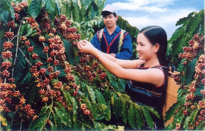 Tìm về Buôn Ma Thuột nơi trái tim Tây Nguyên oai hùng Phần 2