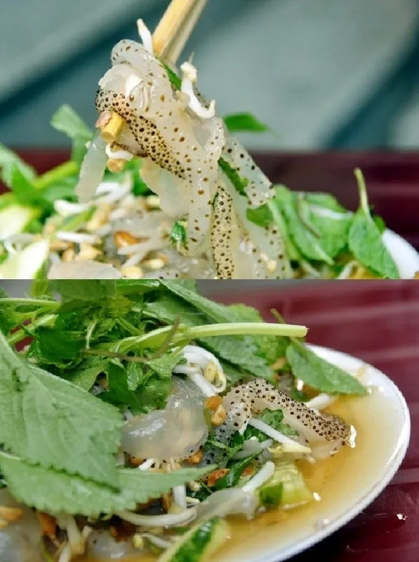 Top 5 quán nộm siêu hấp dẫn của Hà Nội Top 5 quán nộm siêu hấp dẫn của Hà Nội