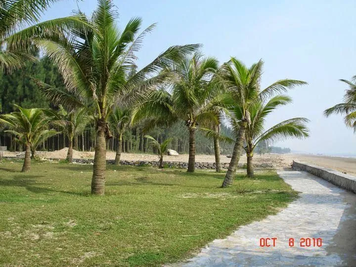 Trải nghiệm thể thao cực thú vị tại bãi biển Hải Tiến Thanh Hóa Trải nghiệm thể thao cực thú vị tại bãi biển Hải Tiến Thanh Hóa
