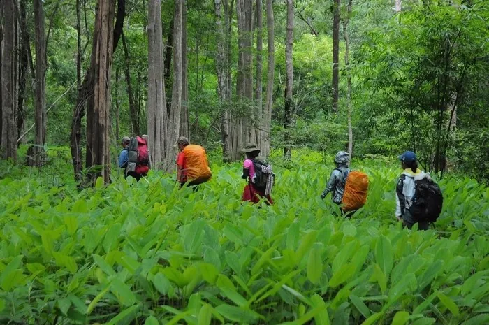 Trekking trên cung đường đẹp nhất Việt Nam