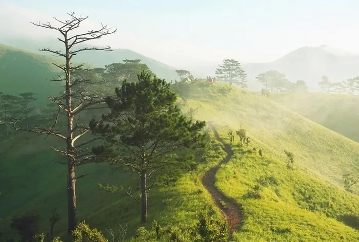 Trekking trên cung đường đẹp nhất Việt Nam Trekking trên cung đường đẹp nhất Việt Nam