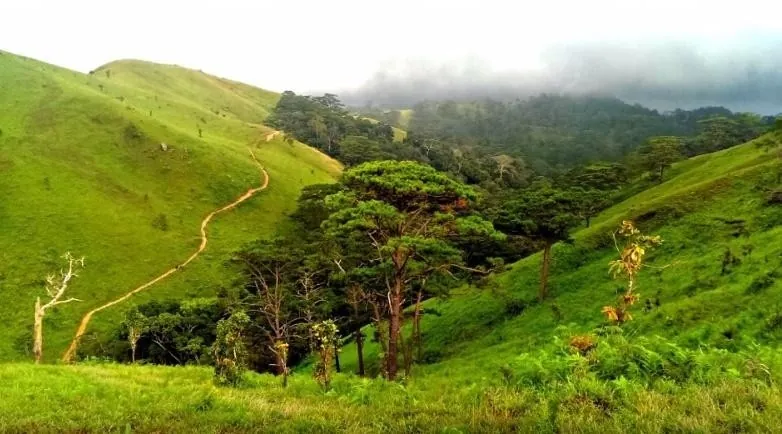 Trekking trên cung đường đẹp nhất Việt Nam Trekking trên cung đường đẹp nhất Việt Nam