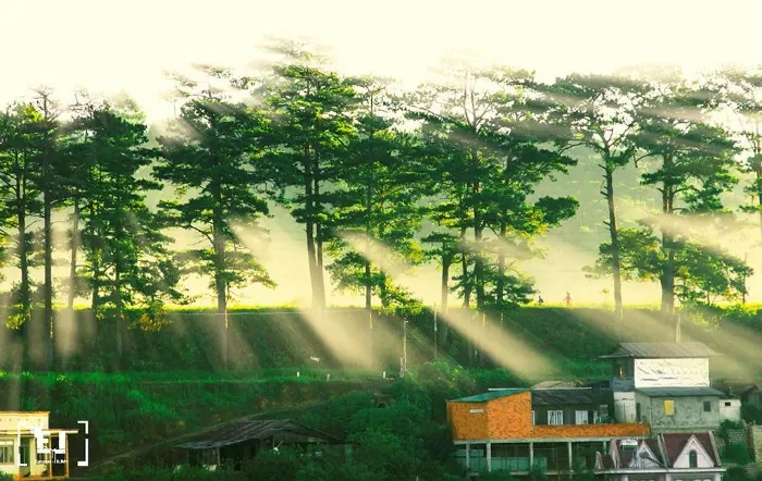 Trên những con đường cõi mộng xứ mơ Đà Lạt Trên những con đường cõi mộng xứ mơ Đà Lạt