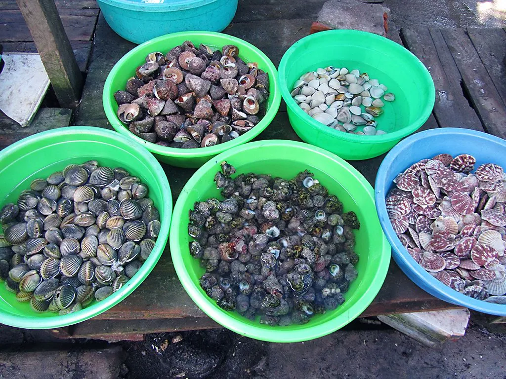 Từ A đến Z kinh nghiệm du lịch biển Dốc Lết Từ A đến Z kinh nghiệm du lịch biển Dốc Lết