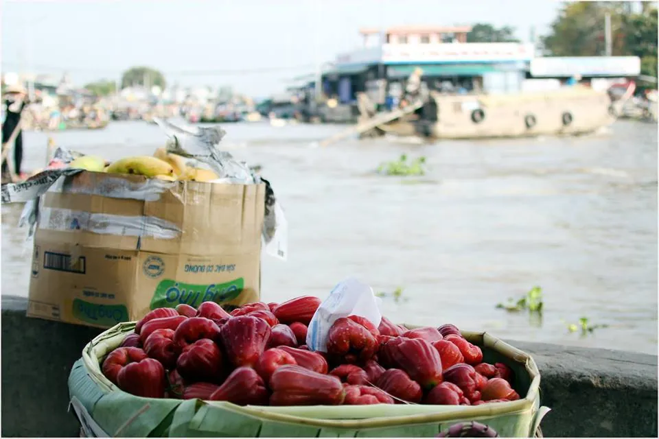 Văn hóa sông nước miền Tây ở chợ nổi Ngã Năm Văn hóa sông nước miền Tây ở chợ nổi Ngã Năm
