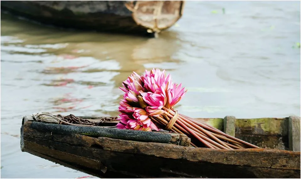 Văn hóa sông nước miền Tây ở chợ nổi Ngã Năm Văn hóa sông nước miền Tây ở chợ nổi Ngã Năm