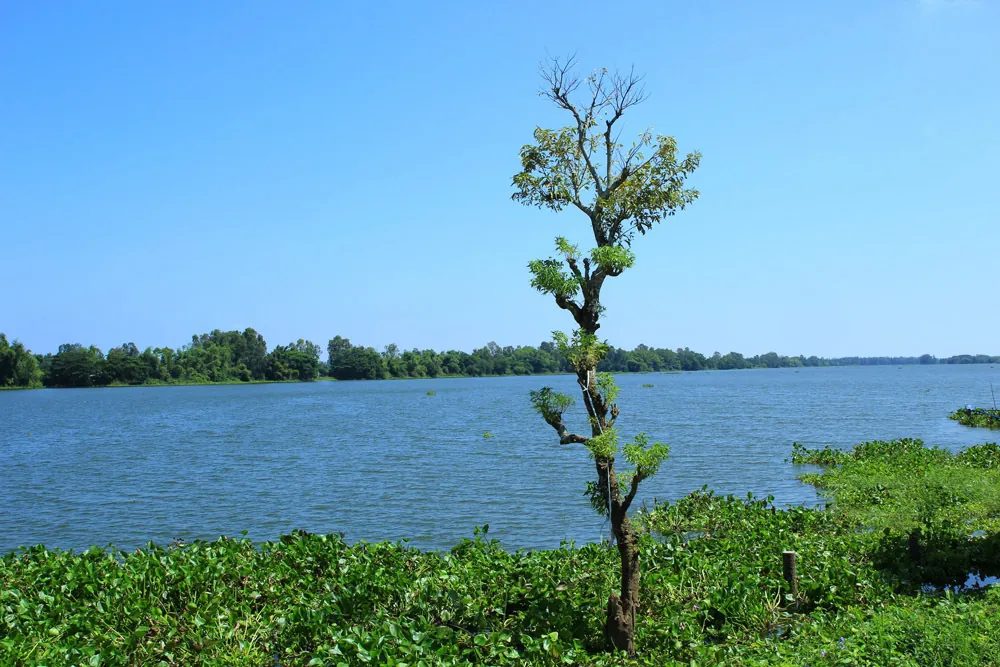 Vẻ bình yên miền sông nước An Giang Vẻ bình yên miền sông nước An Giang