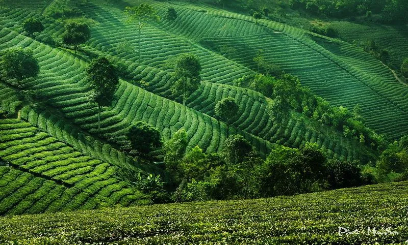 Vẻ đẹp bình dị nơi bản cao Yên Bái Vẻ đẹp bình dị nơi bản cao Yên Bái