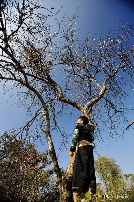 Vẻ đẹp bình dị nơi bản cao Yên Bái Vẻ đẹp bình dị nơi bản cao Yên Bái