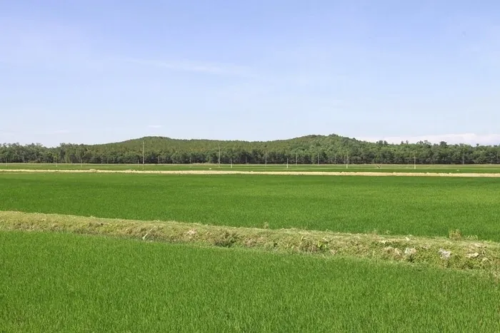 Về làng Hoàng Trù thăm quê ngoại Bác