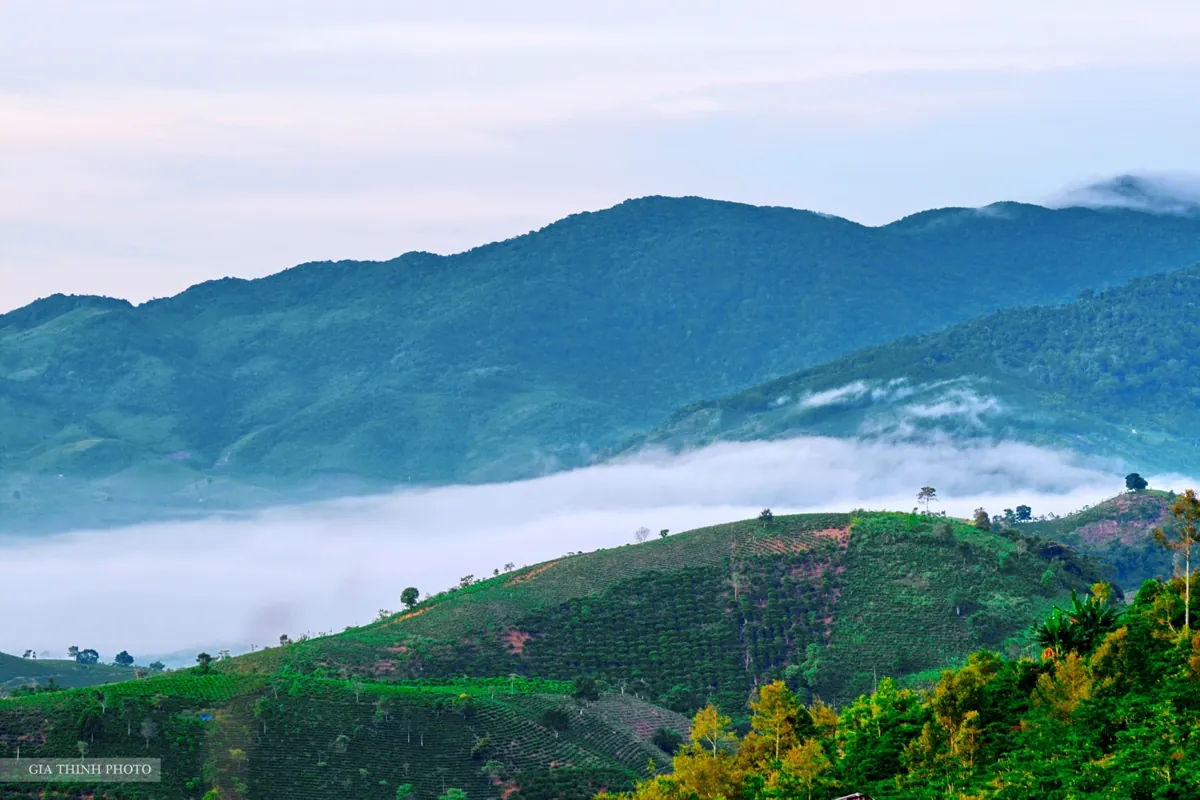 Vẻ quyến rũ của cao nguyên Bảo Lộc