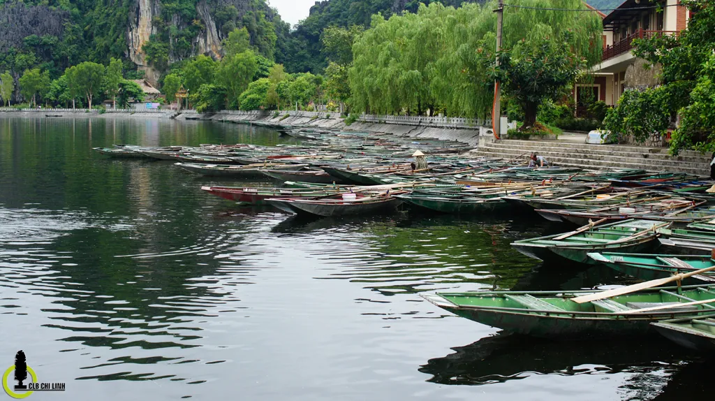 Về Tam Cốc mùa lúa Về Tam Cốc mùa lúa