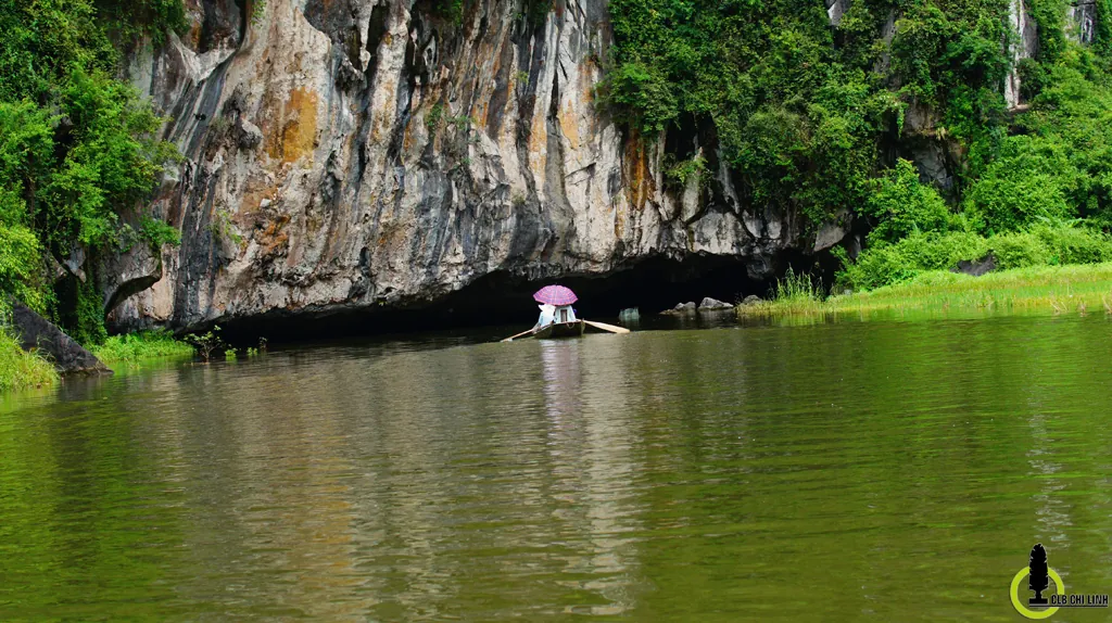 Về Tam Cốc mùa lúa Về Tam Cốc mùa lúa