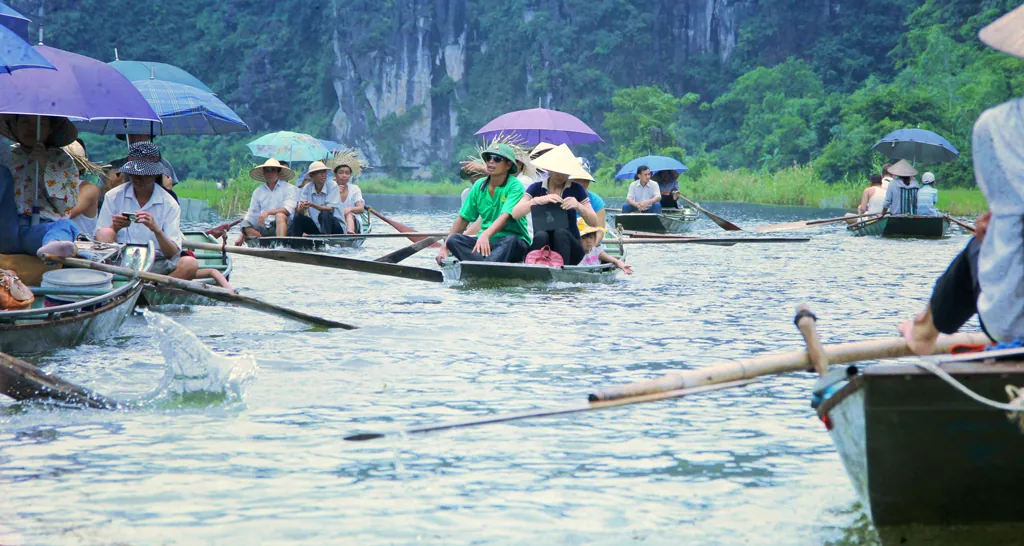 Về Tam Cốc mùa lúa Về Tam Cốc mùa lúa