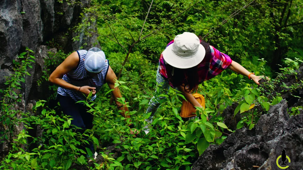 Về Tam Cốc mùa lúa Về Tam Cốc mùa lúa