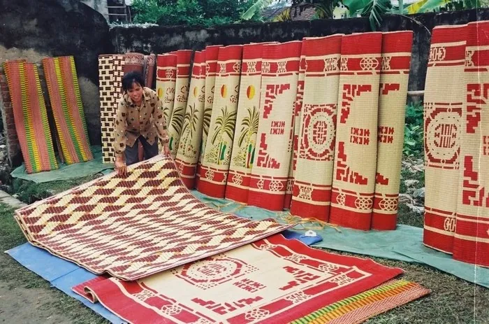 Về Tam Quan mục sở thị cánh đồng cói xanh mướt mát