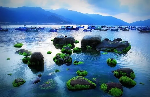 Vi vu ngày hè đến Bình Hưng - hòn ngọc quý Cam Ranh Vi vu ngày hè đến Bình Hưng hòn ngọc quý Cam Ranh