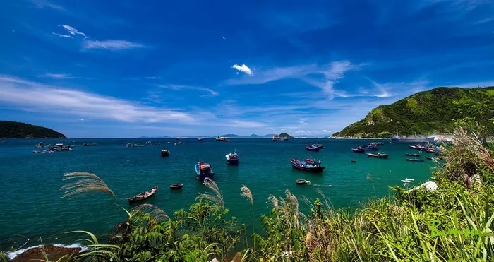 Vịnh Vũng Rô đẹp mê hồn giữa đất Phú Yên Vịnh Vũng Rô đẹp mê hồn giữa đất Phú Yên