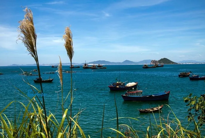 Vịnh Vũng Rô đẹp mê hồn giữa đất Phú Yên Vịnh Vũng Rô đẹp mê hồn giữa đất Phú Yên