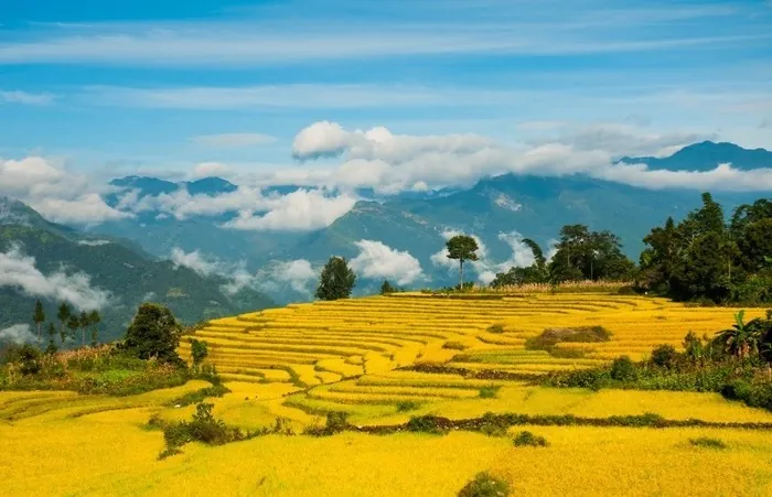 Y Tý bốn mùa như mây Y Tý bốn mùa như mây