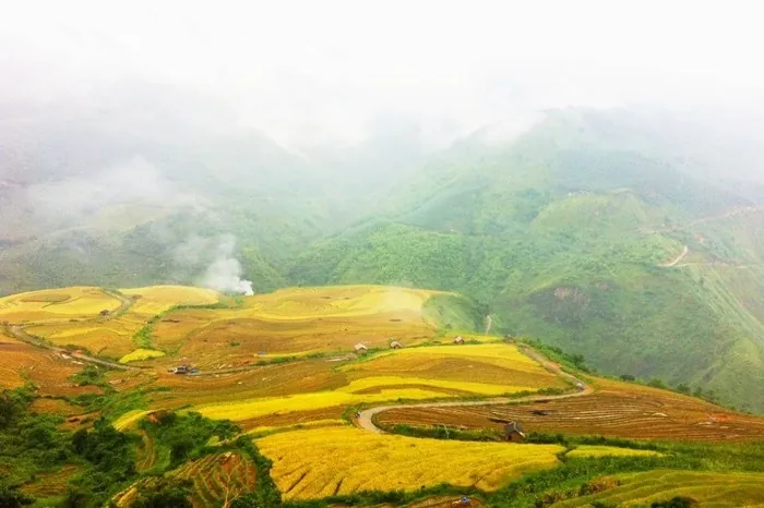 Y Tý bốn mùa như mây Y Tý bốn mùa như mây