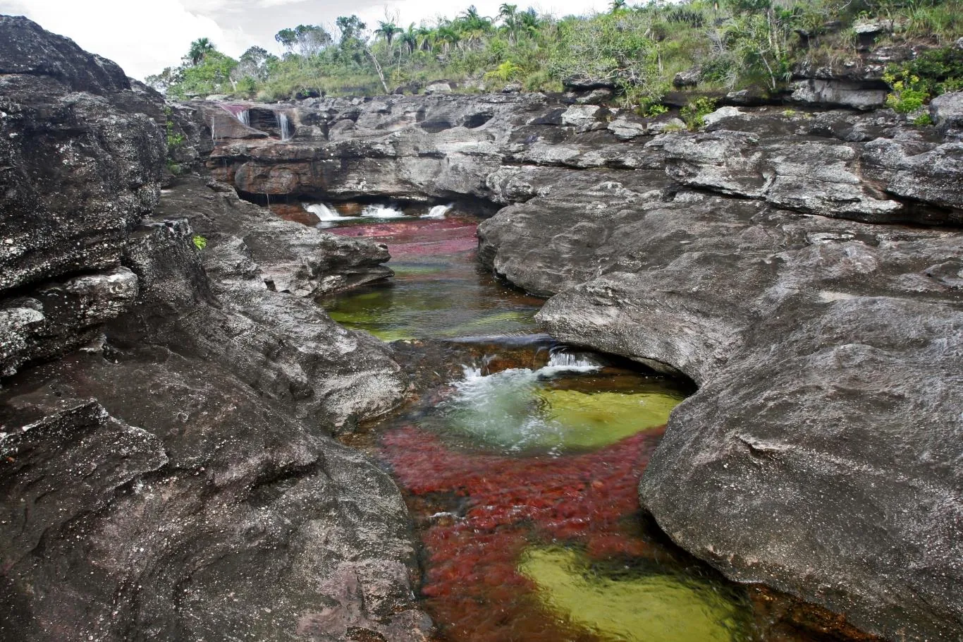 Dòng sông ngũ sắc Cano Cristales