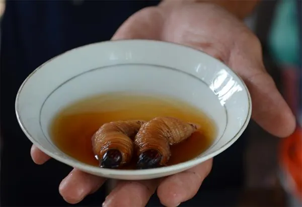 5 món ngon từ dừa ở Bến Tre mê hoặc du khách Đuông dừa