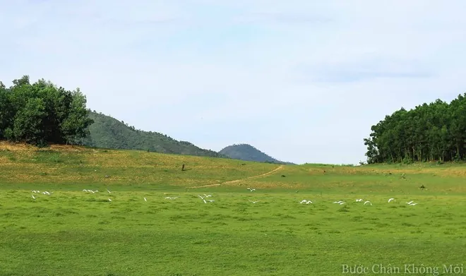 Hồ nước cạn như thảo nguyên Mông Cổ ở Đà Nẵng