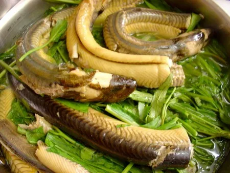 Những đặc sản nghĩ là thèm của đất mũi Cà Mau Những đặc sản nghĩ là thèm của đất mũi Cà Mau