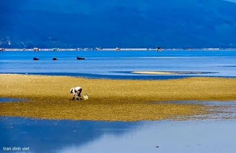 Những trải nghiệm tuyệt vời ở Thừa Thiên-Huế
