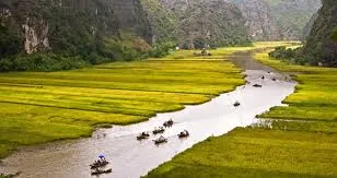 Tư vấn cho chuyến du lịch Tam Cốc hoàn hảo Tư vấn cho chuyến du lịch Tam Cốc hoàn hảo