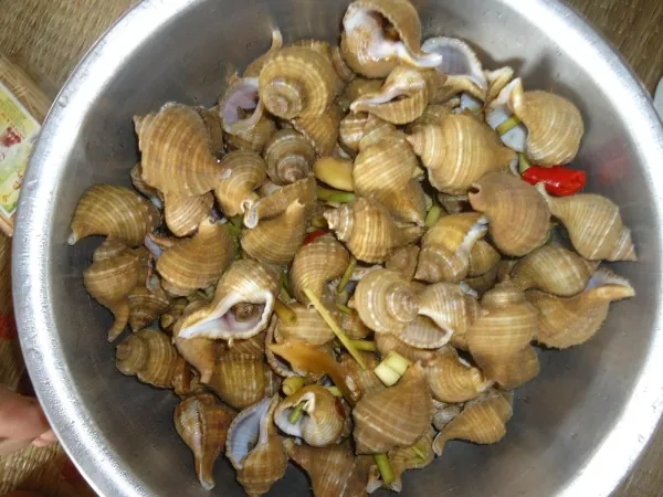 Bãi đá Nhảy Quảng Bình ngổn ngang và kì thú