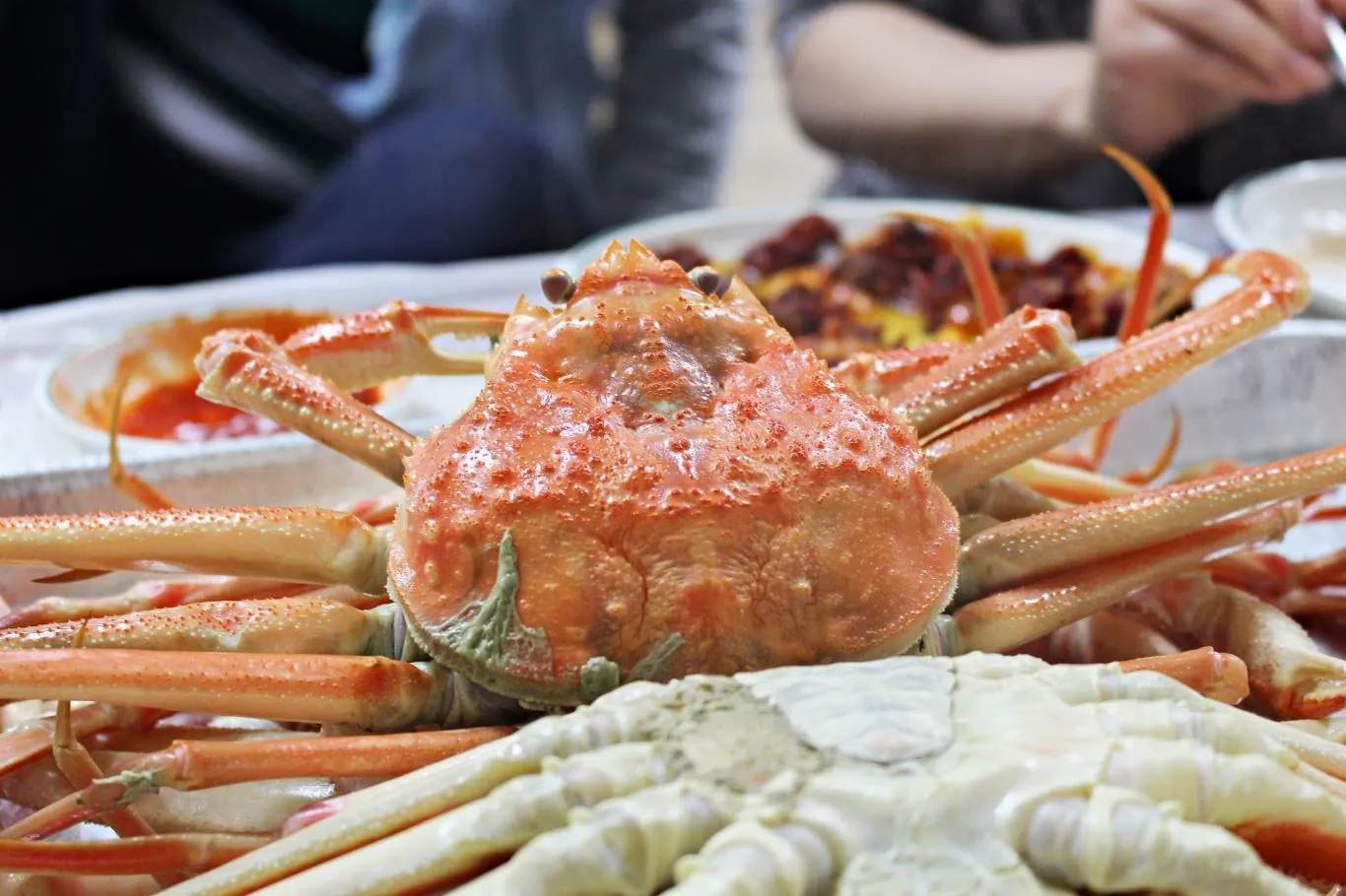 Bản đồ ẩm thực các món ngon trải dọc Hàn Quốc Yeongdeok Daegejjim