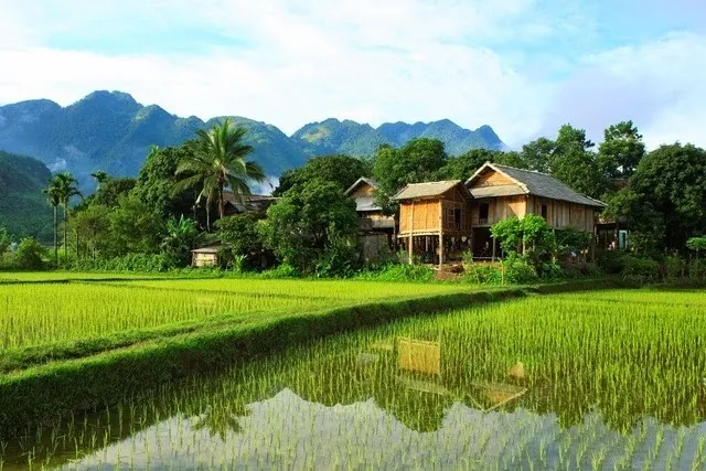 Bản Pom Coọng - Bản làng mang đậm chất bản Thái Bản Pom Coọng bản làng mang đậm chất bản Thái