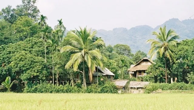 Bản Pom Coọng - bản làng mang đậm chất bản Thái