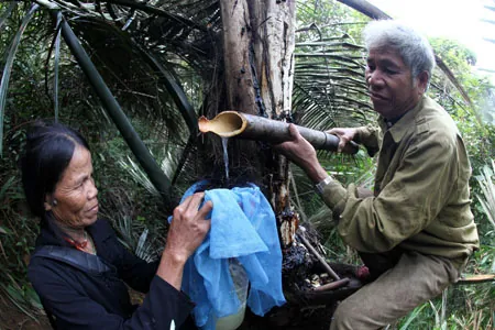 Các món ăn sẽ khiến bạn phải lui tới Đắk Lắk nhiều lần