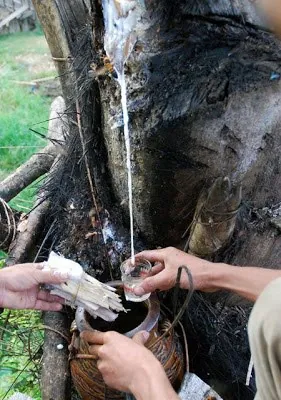 Các món ăn sẽ khiến bạn phải lui tới Đắk Lắk nhiều lần