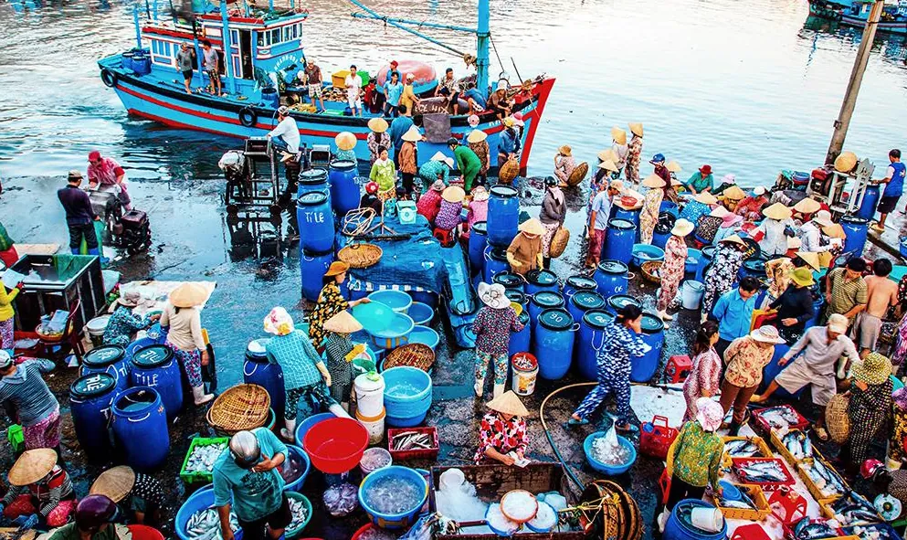 Hình ảnh Việt Nam xuất hiện trên báo Anh cảnh đẹp việt nam trên báo anh
