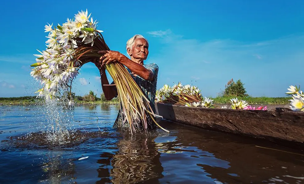 Hình ảnh Việt Nam xuất hiện trên báo Anh cảnh đẹp việt nam trên báo anh