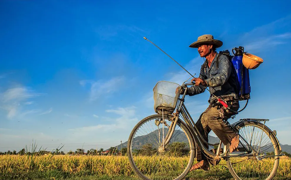 Hình ảnh Việt Nam xuất hiện trên báo Anh cảnh đẹp việt nam trên báo anh