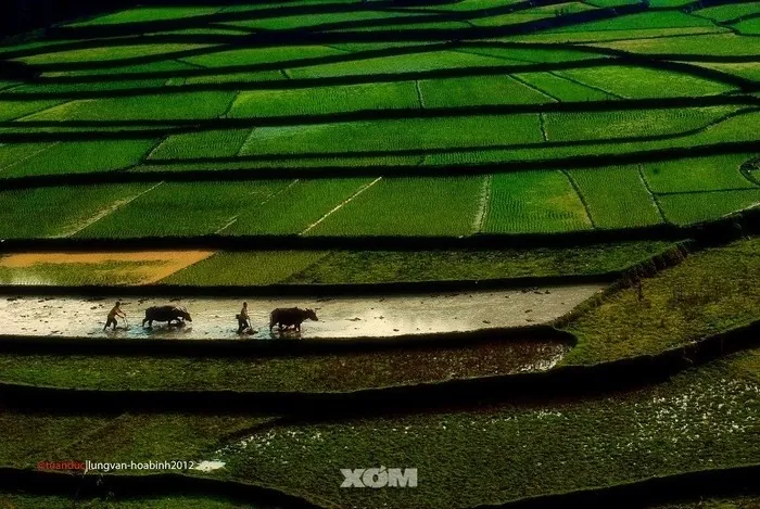 Chạm mây Lũng Vân nơi nóc nhà xứ Mường Chạm mây Lũng Vân nơi nóc nhà xứ Mường