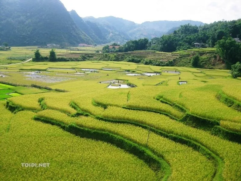 Chạm mây Lũng Vân nơi nóc nhà xứ Mường Chạm mây Lũng Vân nơi nóc nhà xứ Mường