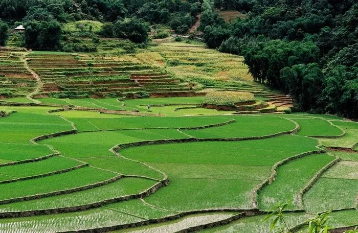 Chạm mây Lũng Vân nơi nóc nhà xứ Mường