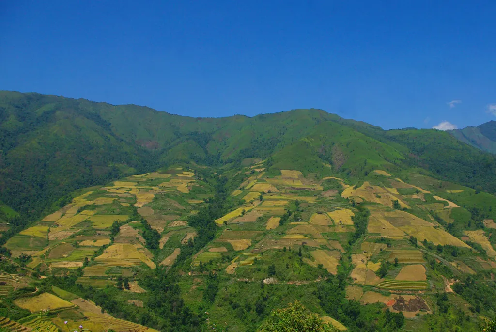 Vùng đất biệt lập Chiềng Ân chuyển màu lúa chín chiềng ân mùa lúa chín