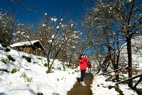 CÓ GÌ CHỜ ĐỢI TA Ở SAPA THÁNG 12