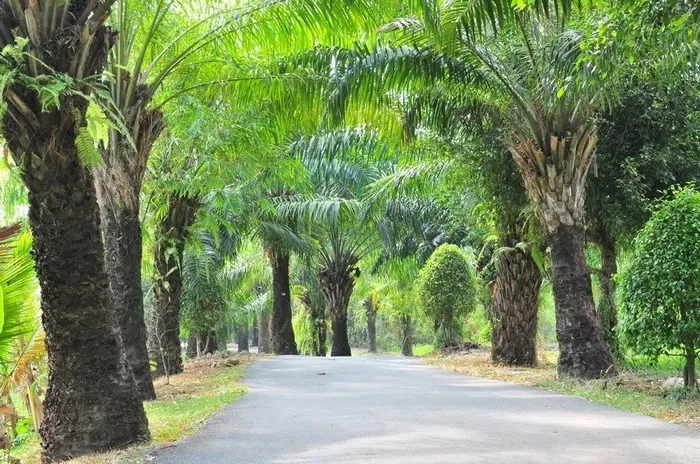 Cuối tuần vi vu Biên Hòa có gì chơi