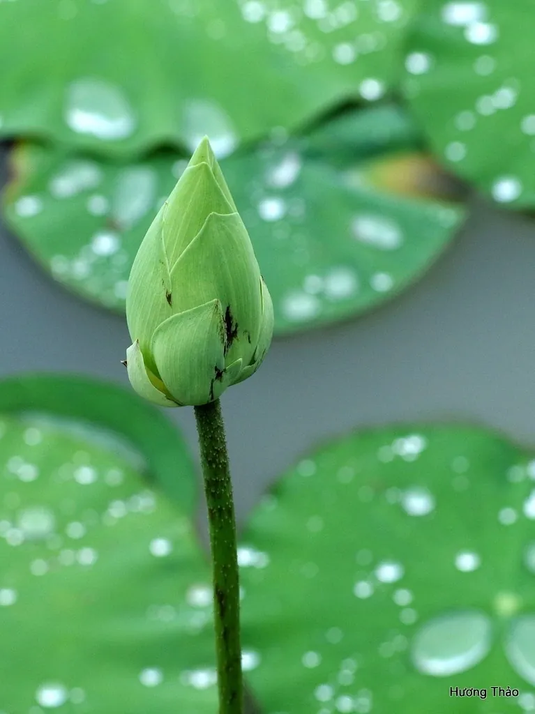 Cuối tuần vi vu Biên Hòa có gì chơi