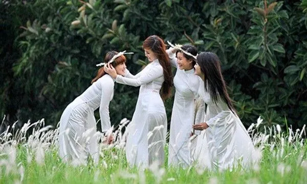 Đến thăm những cánh đồng lau đẹp nhất Việt Nam