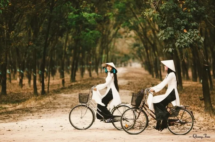 Đẹp mê hồn những khu rừng đậm sắc thu ở Việt Nam Đẹp mê hồn những khu rừng đậm sắc thu